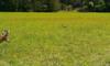 View Full Size Image
